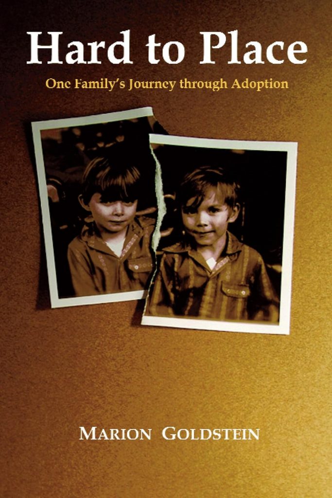 Book Cover: Hard to Place : One Family's Journey through Adoption